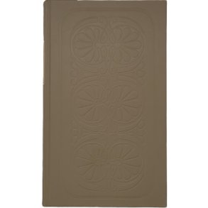 Mark Twain - Den tvilsomme tvilling (Innbundet)