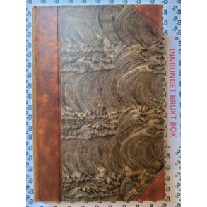 Mark Twain - Huck Finns Opplevelser