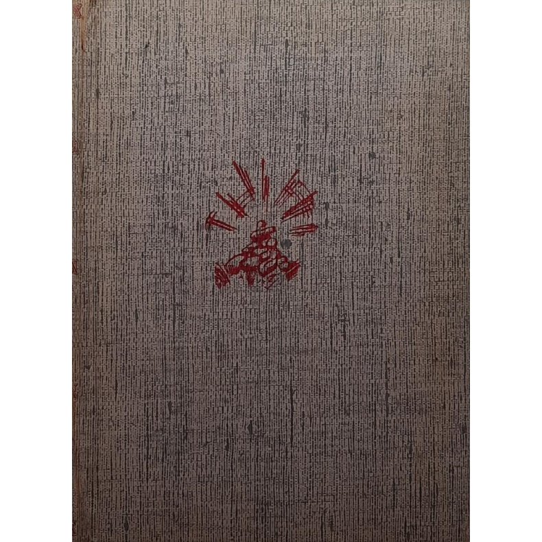 Mathias Borgersen - Nasjonalt gjennombrudd i norsk ndsliv