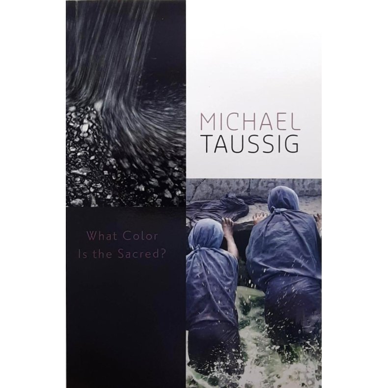 Michael Taussig - What Color Is the Sacred? (Heftet)