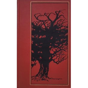 Mikkjel Fnhus - Under polarlyset - Raudalsdansen - Reinsbukken p Jotunfjell