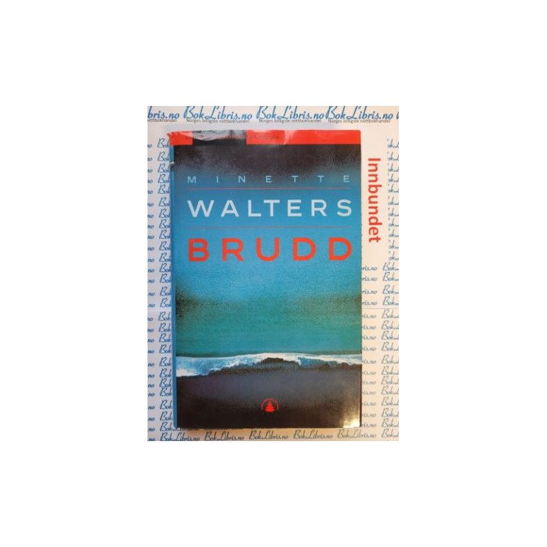 Minette Walters - Brudd