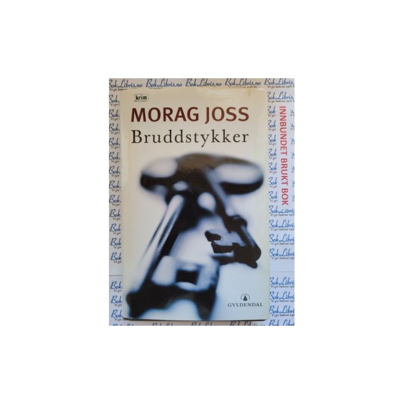 Morag Joss - Bruddstykker