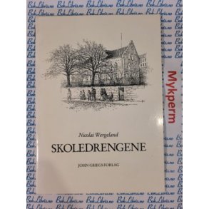Nicolai Wergeland - Skoledrengene