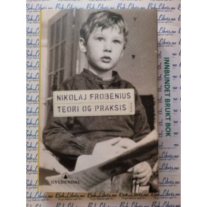 Nikolaj Frobenius - Teori og Praksis (Innbundet)