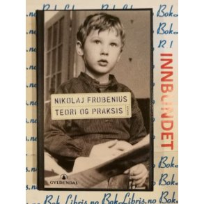 Nikolaj Frobenius - Teori og praksis (I)