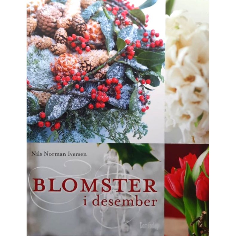 Nils Norman Iversen - Blomster i desember (Innbundet)