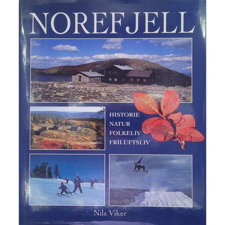 Nils Viker - Norefjell