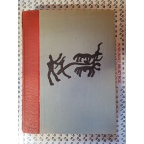 Norske gardsbruk Buskerud fylke I (1948)