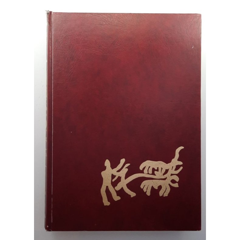 Norske gardsbruk Buskerud fylke II - (Innbundet)