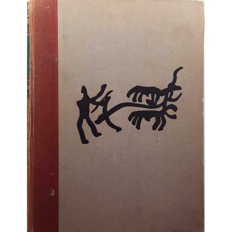 Norske gardsbruk Hedmark fylke II (Innbundet)