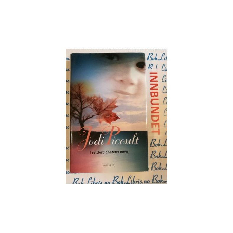 Jodi Picoult - I rettferdighetens navn