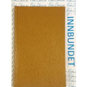 Anne Karin Elstad - Folket p Innhaug