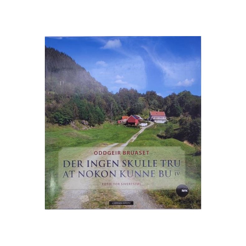 Oddgeir Bruaset - Der ingen skulle tru at nokon kunne bu IV