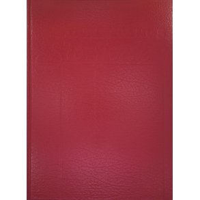 Oddgeir Bruaset - Folket langs Storfjorden