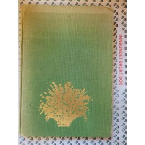 istein Parmann (Red.) - Andr Bjerke. I lek og alvor