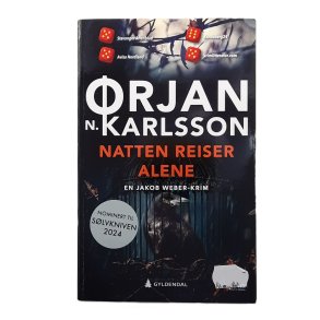 Natten reiser alene (Heftet)