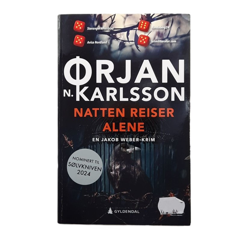 Natten reiser alene (Heftet)