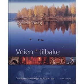 ystein Wang - Veien tilbake