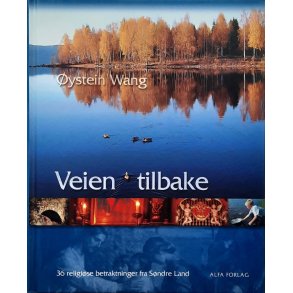 ystein Wang - Veien tilbake (I)