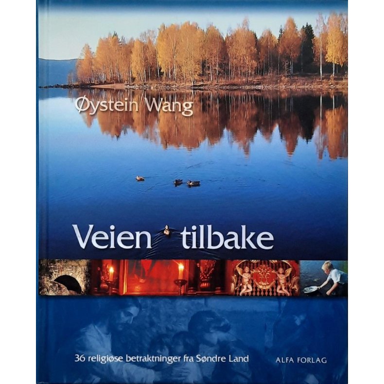 ystein Wang - Veien tilbake (I)