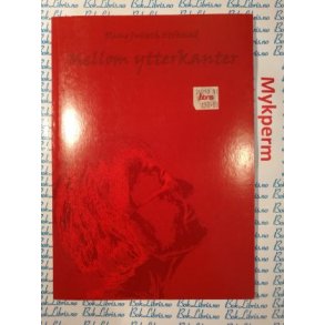 Olaug Julseth Stokstad - Mellom ytterkanter