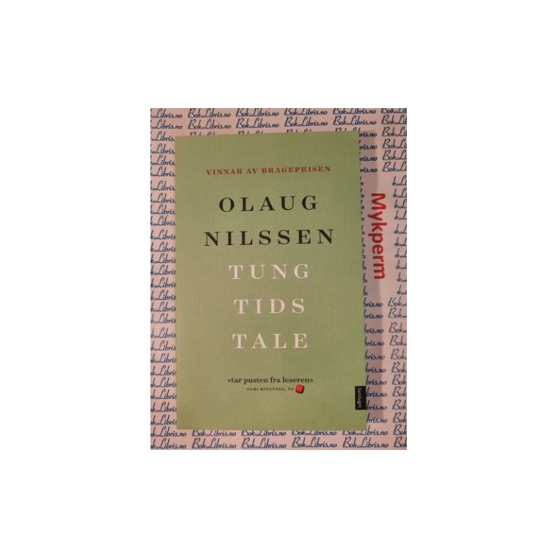 Olaug Nilssen - Tung tids tale