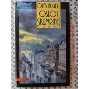 Olav Angell - Oslo i skumring