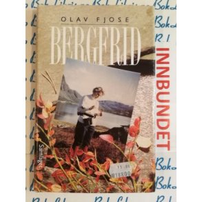 Olav Fjose - Bergfrid