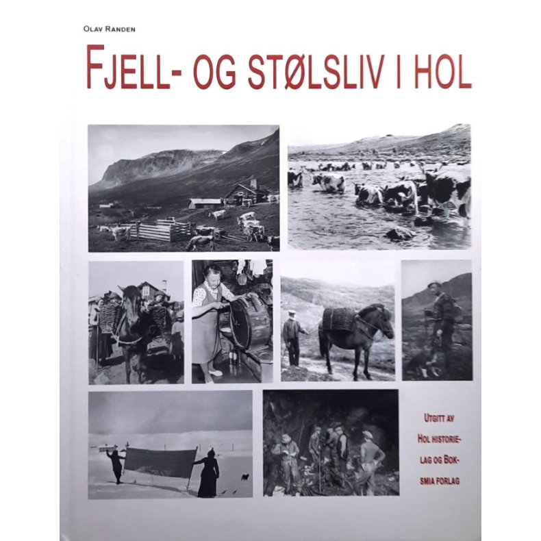 Olav Randen - Fjell- og st�lsliv i Hol (Innbundet)