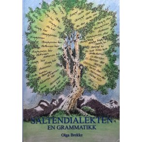 Olga Brekke - Saltendialekten - En grammatikk