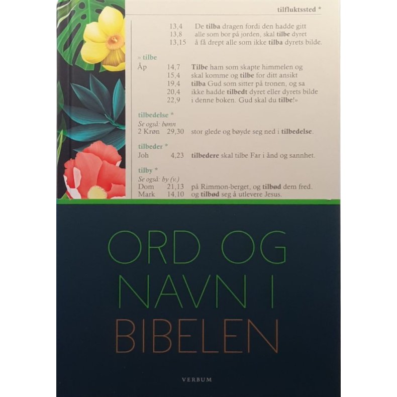 Ord og navn i Bibelen - Innbundet