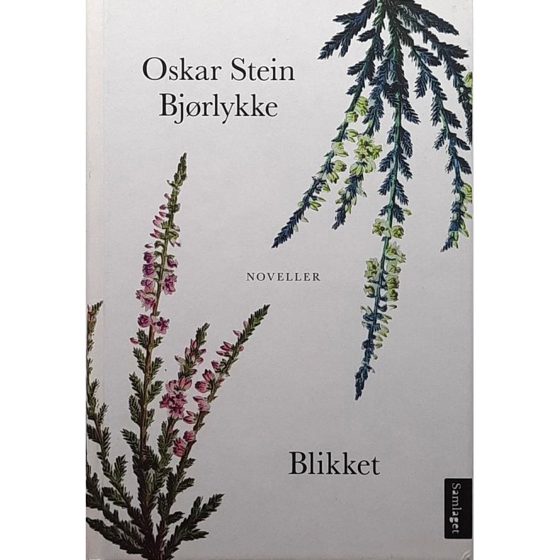 Oskar Stein Bjrlykke - Blikket