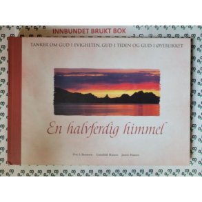 Ove S. Berntsen m.fl. - En halvferdig himmel