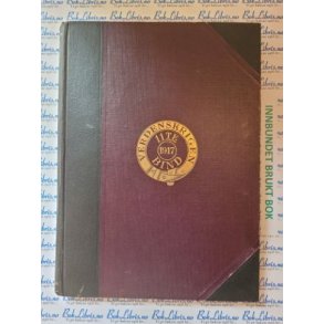 P. A. Rosenberg - Verdenskrigen i tekst og billeder 10. bind (1916)