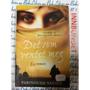 Parinoush Saniee - Det som ventet meg