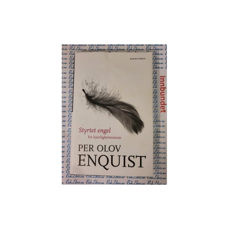 Per Olov Enquist - Styrtet engel