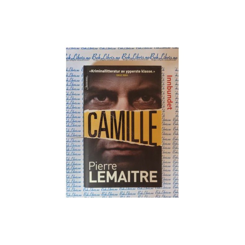 Pierre Lemaitre - Camille