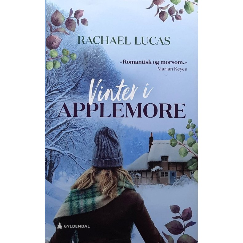 Rachel Lucas - Vinter i Applemore (Innb.)