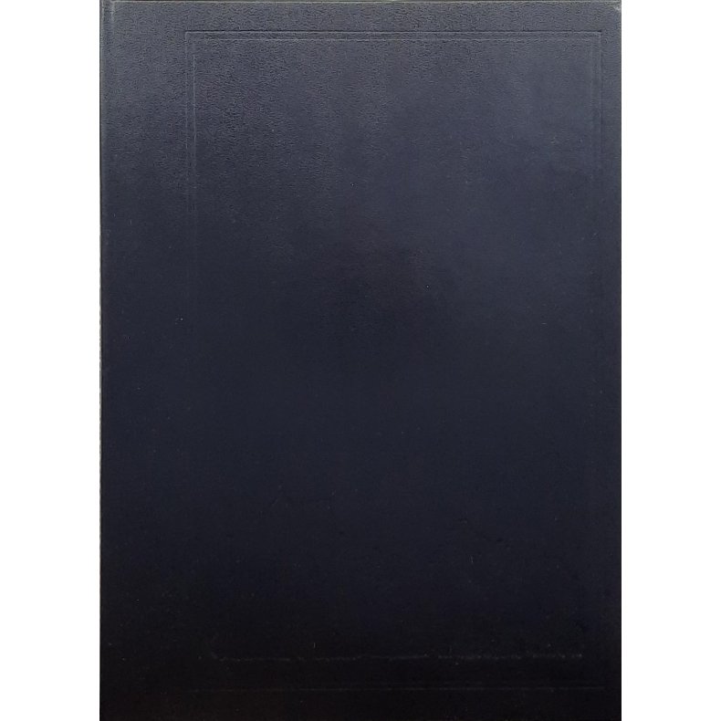 Ragnvald Roscher Nielsen - Bergenhus og dets festningsverker