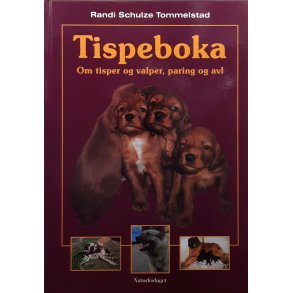 Randi Schulze Tommelstad - Tispeboka
