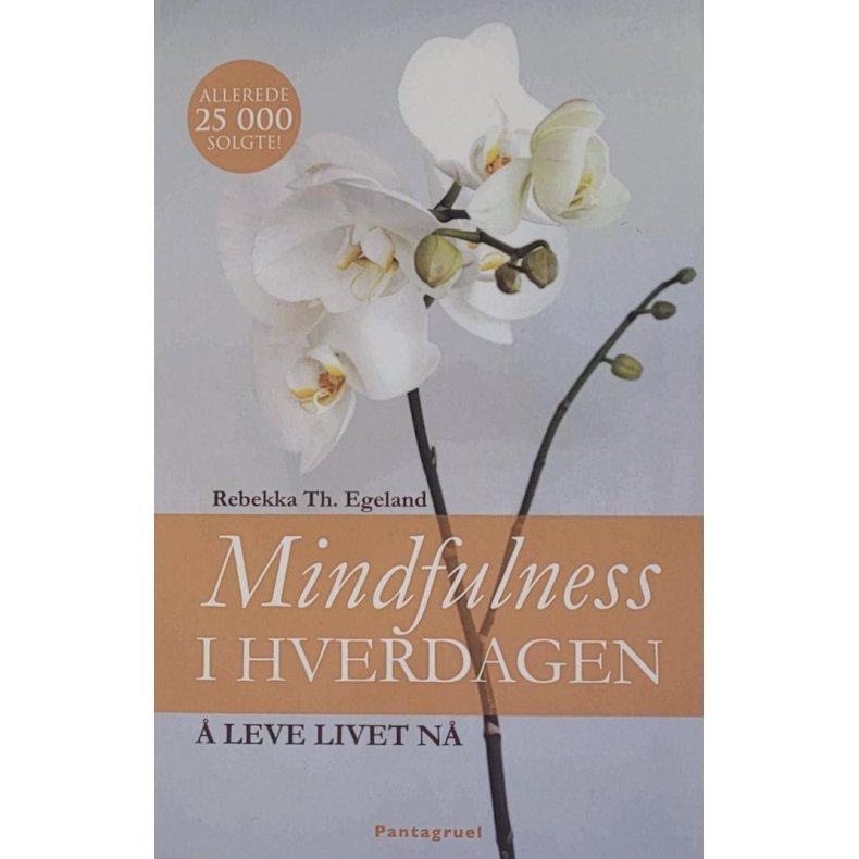 Rebekka Th. Egeland - Mindfulness i hverdagen -  leve livet n