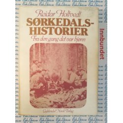 Reidar Holtvedt Srkedals-historier