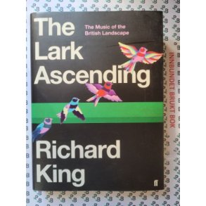 Richard King - The Last Ascending