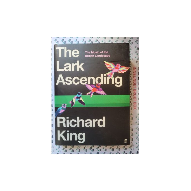 Richard King - The Last Ascending