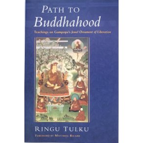 Ringu Tulku - Path To Buddhahood