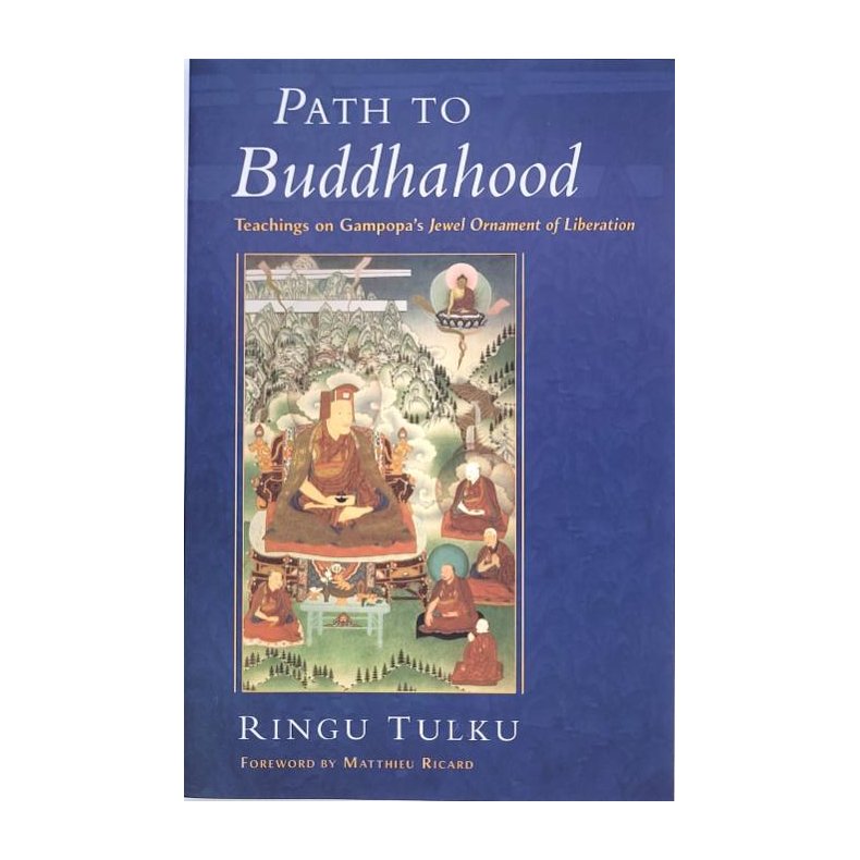 Ringu Tulku - Path To Buddhahood