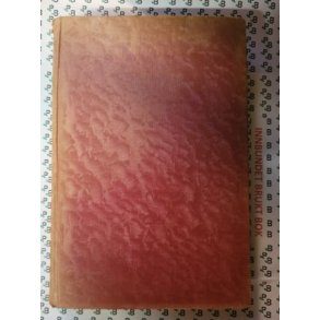 Roald Amundsen - Gjennem luften til 88 nord (Brukte bker)