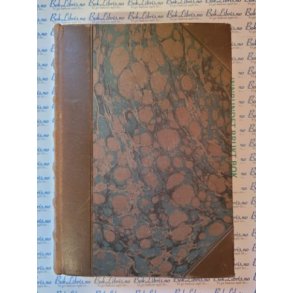 Roald Amundsens opdagelsesreiser - Bind IV - Nordpolen