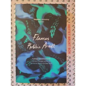 Robbie Arnott - Flames